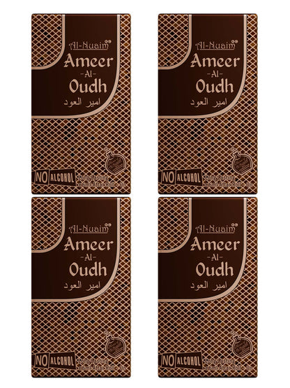 Ameer Al Oudh